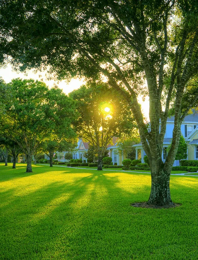 Cape Coral Lawn Care showcase