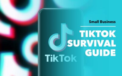 TikTok Survival Guide for Small Business